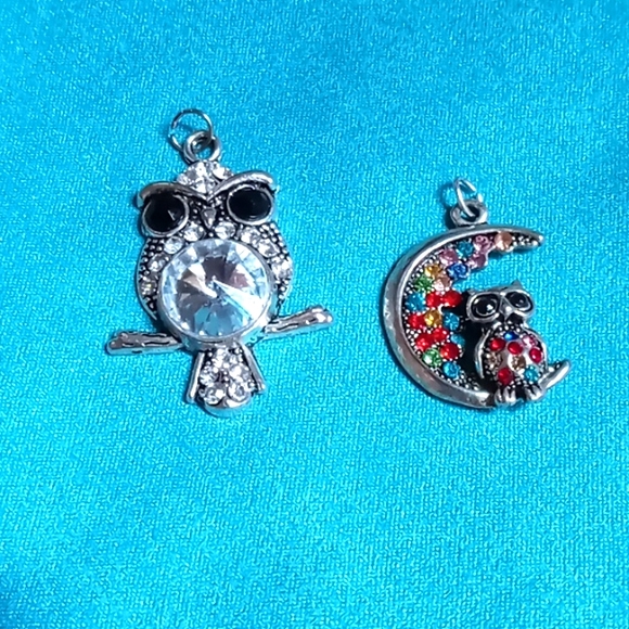 unknown Jewelry - 2 Owl Pendants bundle